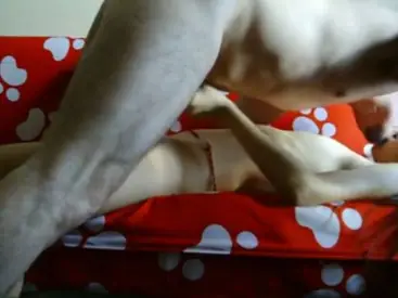 Bokep Jilbab Ukhti Ganas Anak Pesantren Hot